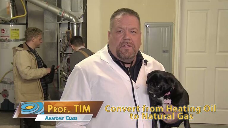 Regular check-ups are essential for your home efficiency and your beloved household members!